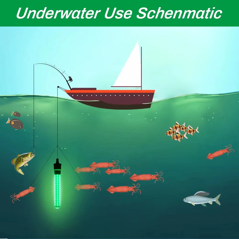 Lampe de pêche LED sous-marine, leurres de pêche, lampe de recherche de poisson, 5-12V