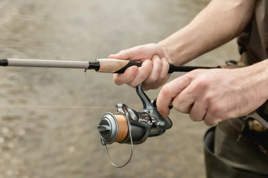 Guide complet de la pêche en France : techniques, spots et équipements — Sportmix