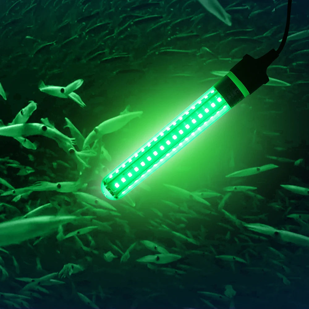 Lampe de pêche LED sous-marine, leurres de pêche, lampe de recherche de poisson, 5-12V