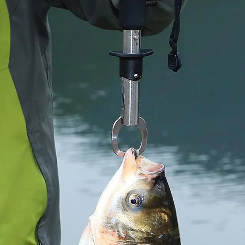 Pince de pêche professionnelle en acier inoxydable 24CM, pince à lèvres